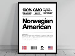 Norwegian American Unity Flag Poster Mid Century Modern American Melting Pot Rustic Charming Norwegian Humor US Patrioti