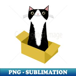 Cat in Box - Vintage Sublimation PNG Download - Bold & Eye-catching
