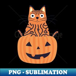 Pumskin Cat funny Halloween constume 2023 - Trendy Sublimation Digital Download - Create with Confidence