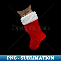 Cat in Christmas Stocking  Funny Cat - PNG Sublimation Digital Download - Stunning Sublimation Graphics