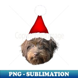 Santa Hat Havanese Dog Xmas Portrait - Instant PNG Sublimation Download - Unlock Vibrant Sublimation Designs