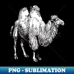 Bactrian Camel Vintage Style Illustration - Unique Sublimation PNG Download - Capture Imagination with Every Detail