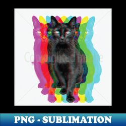 Midnight the Cat - Premium Sublimation Digital Download - Enhance Your Apparel with Stunning Detail