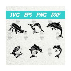 Dolphin SVG PNG, Dolphins Bundle