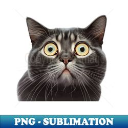 Funny Scared Cat Face Cat Lover Scaredy Cat - Instant PNG Sublimation Download - Perfect for Sublimation Mastery