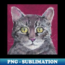 Gray tiger cat on red - Signature Sublimation PNG File - Perfect for Sublimation Mastery