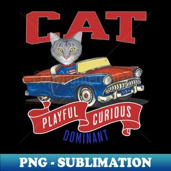 Humorous Funny and Cute gray Tabby kitty cat driving a vintage classic car to a parade with red white and blue flags - Modern Sublimation PNG File - Instantly Transform Your Sublimation Projects
