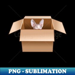sphynx kitten peeking from cardboard box - decorative sublimation png file - vibrant and eye-catching typography
