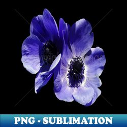Blue Mauve Anemone Vector Cut Out - Modern Sublimation PNG File - Fashionable and Fearless