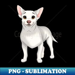 White Chihuahua Dog - Vintage Sublimation PNG Download - Defying the Norms