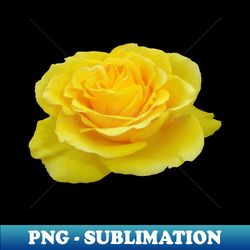 Beautiful Yellow Rose Vector Art Cut Out - Exclusive Sublimation Digital File - Perfect for Sublimation Mastery