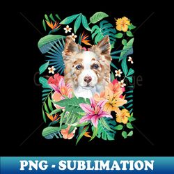 Tropical Red Merle Border Collie 4 - Modern Sublimation PNG File - Perfect for Personalization