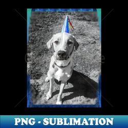 birthday hat puppy - png transparent sublimation design - capture imagination with every detail