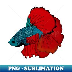 siamese fighting fish colorful betta fish graphic - png transparent digital download file for sublimation - perfect for sublimation art