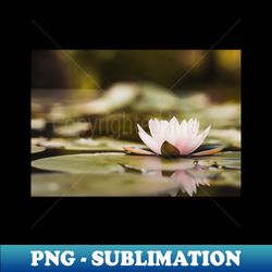 meditation wall art print - water lily meditation - canvas photo print artboard print poster canvas print - trendy sublimation digital download - instantly transform your sublimation projects