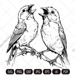 Canary SVG, Canary Bird Svg, Canary, Canary Png, Canary Clipart, Canary Files