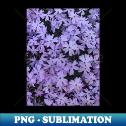 Purple Floral Garden Flower Pattern - Exclusive Sublimation Digital File - Unleash Your Creativity