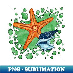 Bright star fish and shell summer beach - Exclusive PNG Sublimation Download - Spice Up Your Sublimation Projects