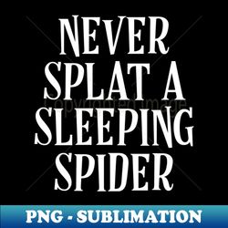 Never Splat A Sleeping  Spider - Funny Spider - Retro PNG Sublimation Digital Download - Perfect for Creative Projects
