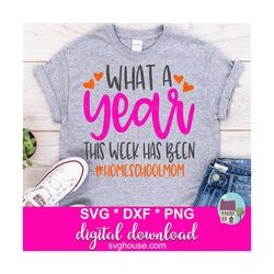 What A Year This Week Has Been SVG, DXF and PNG Files For Cricut And Silhouette. Digital Download.