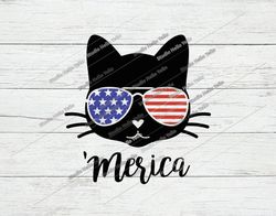 Merica Cat Svg, 4th of July Svg,Cat Svg,4th of July Cat Svg