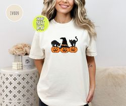 Black Cat on Pumpkin shirt, Shirt for fall, Vintage Halloween, Spooky Season Shirt,Black Cat Design, Fall Shirt, iprinta