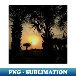 Palm Tree Sunrise - High-Quality PNG Sublimation Download - Perfect for Personalization