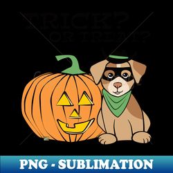 Halloween Dog Cowboy Bandit - PNG Transparent Sublimation Design - Perfect for Sublimation Art