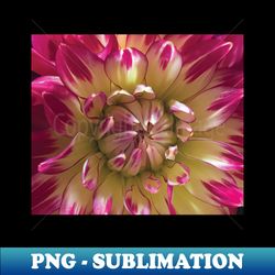 I love Dahlias - Stylish Sublimation Digital Download - Perfect for Sublimation Mastery
