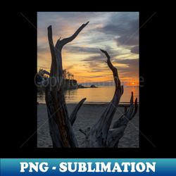 Driftwood Sunset - Modern Sublimation PNG File - Perfect for Sublimation Art