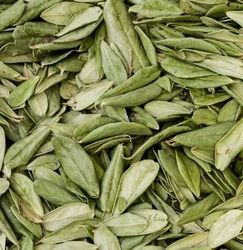 Wildcrafted Lingonberry leaf tea-Revitalizing Herbal Tea