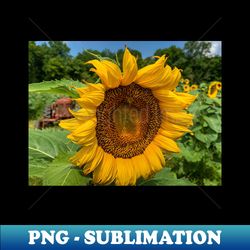 Sunflower Time - Stylish Sublimation Digital Download - Create with Confidence