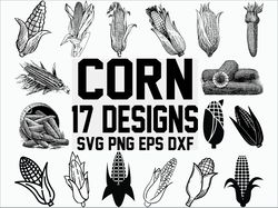 Corn svg, crop svg, farm svg, cereal svg