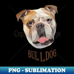 British Bulldog - PNG Transparent Sublimation File - Vibrant and Eye-Catching Typography