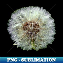 Dandelion Clock - PNG Transparent Digital Download File for Sublimation - Vibrant and Eye-Catching Typography