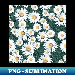 Daisy Blossom Seamless Pattern with Grass Meadow - PNG Transparent Sublimation File - Revolutionize Your Designs