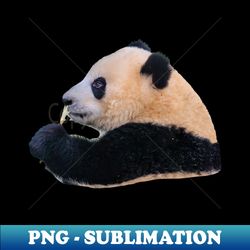 Panda Breakfast - PNG Transparent Digital Download File for Sublimation - Instantly Transform Your Sublimation Projects