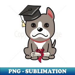 Cute grey dog is a graduate - Decorative Sublimation PNG File - Perfect for Personalization