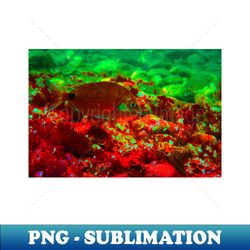 Underwater sea life - Decorative Sublimation PNG File - Unlock Vibrant Sublimation Designs