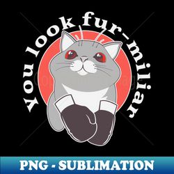 Boxing Cat - Retro PNG Sublimation Digital Download - Perfect for Personalization