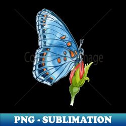 Butterfly with flowers - Digital Sublimation Download File - Stunning Sublimation Graphics