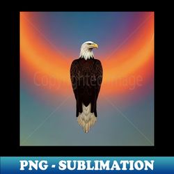 Eagle In The Sun - Exclusive Sublimation Digital File - Perfect for Sublimation Mastery