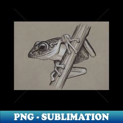 Curious Frog - Exclusive PNG Sublimation Download - Instantly Transform Your Sublimation Projects
