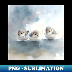 cute baby  birds - aesthetic sublimation digital file - perfect for sublimation art