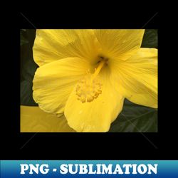 Atlanta GA  -- Spring Blooms I - High-Quality PNG Sublimation Download - Vibrant and Eye-Catching Typography