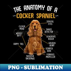 Funny Anatomy Cocker Spaniel Dog - PNG Transparent Sublimation File - Perfect for Sublimation Art