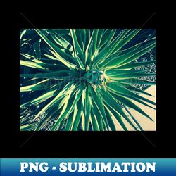 Phoenix AZ Country Club Park  1b - Premium PNG Sublimation File - Unlock Vibrant Sublimation Designs