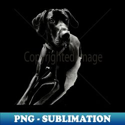 Great Dane - Signature Sublimation PNG File - Perfect for Sublimation Art