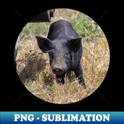 my little black pig - Elegant Sublimation PNG Download - Add a Festive Touch to Every Day