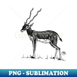 Sweet Antelope - Signature Sublimation PNG File - Stunning Sublimation Graphics